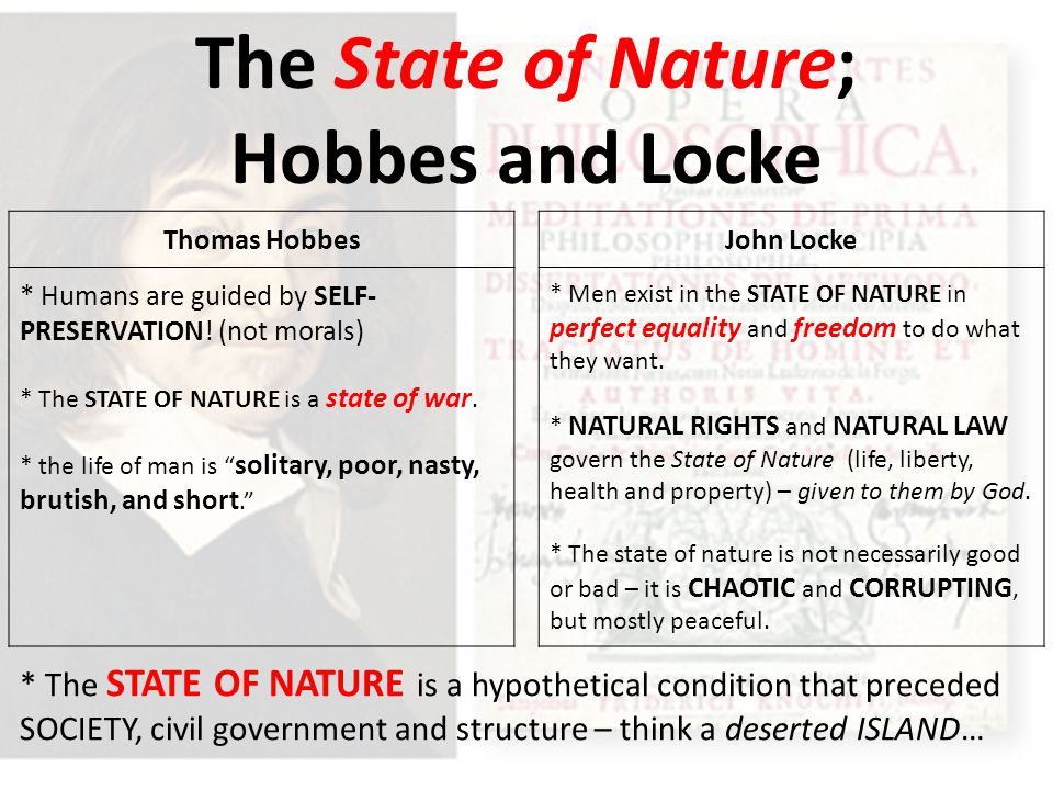 Thomas Hobbes Critical Essays